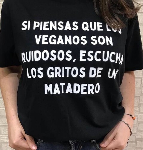 L-0bc153c1dc66b2fb73258bbd1e3dbb0d.jpeg Camiseta Talla M