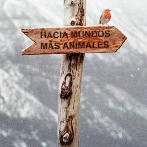 Hacia mundos más animales, libro