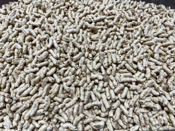 Granulado de Proteína de Guisante y Haba texturizado, 100 g aprox.