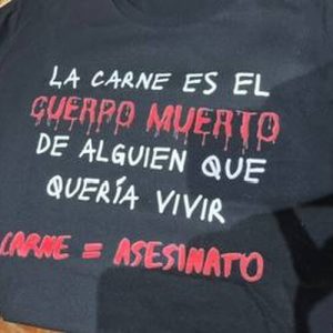 Camiseta Talla L