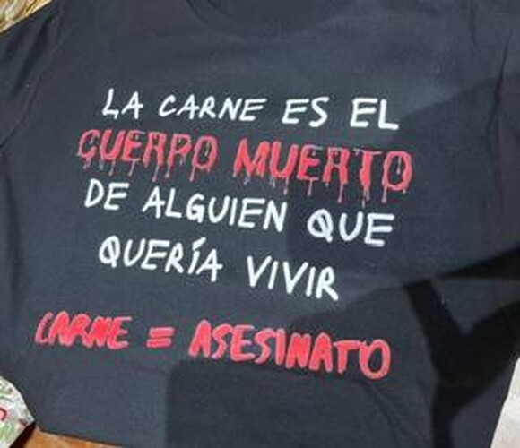 L-86871d1e5fb79cf0464233796de1ddbc.jpeg Camiseta Talla L