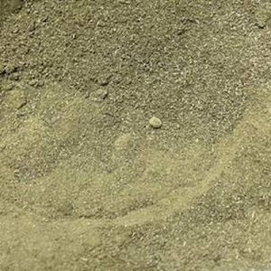 L-90b6c99ccc140f6565a338e72ed051b0.jpeg Moringa en Polvo, 100 g aprox.