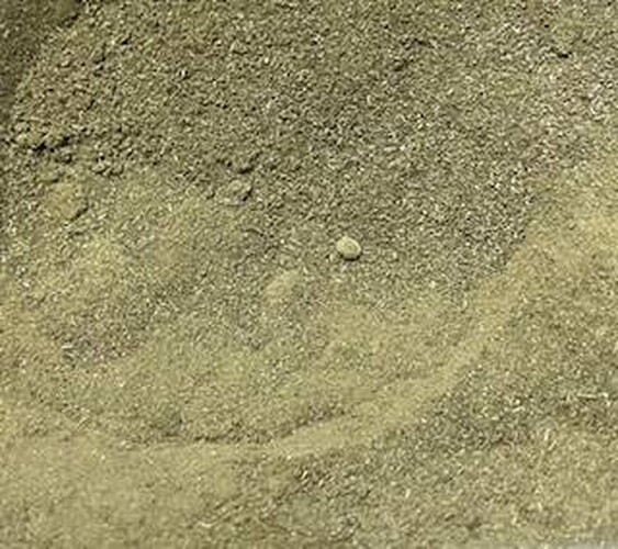 Moringa en Polvo, 100 g aprox.