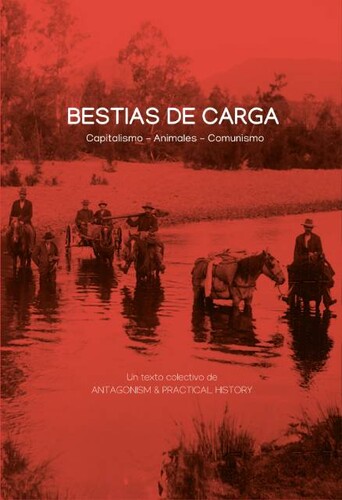 Bestias de Carga, libro