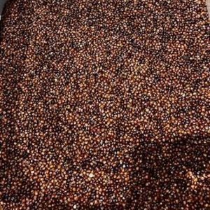 L-beb4cb706797ed4760a12e097be0dabf.jpeg Quinoa Roja, 100 g aprox.
